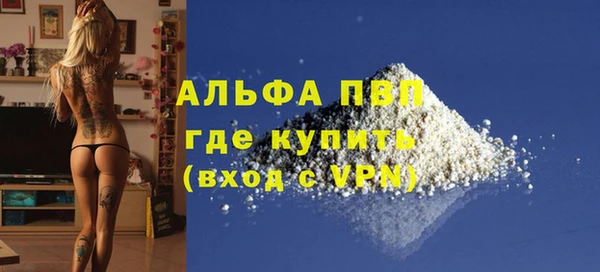 СК Козловка