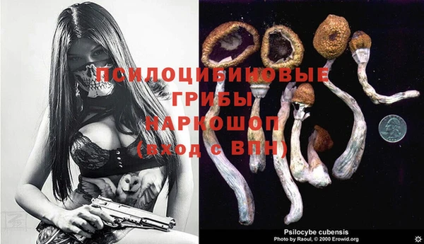 ECSTASY Костерёво