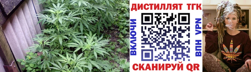 Дистиллят ТГК гашишное масло ссылка на мегу ССЫЛКА Кукмор даркнет сайт