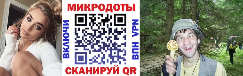 Псилоцибиновые грибы Psilocybine cubensis Кукмор